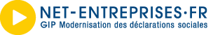 logo Net-entreprises